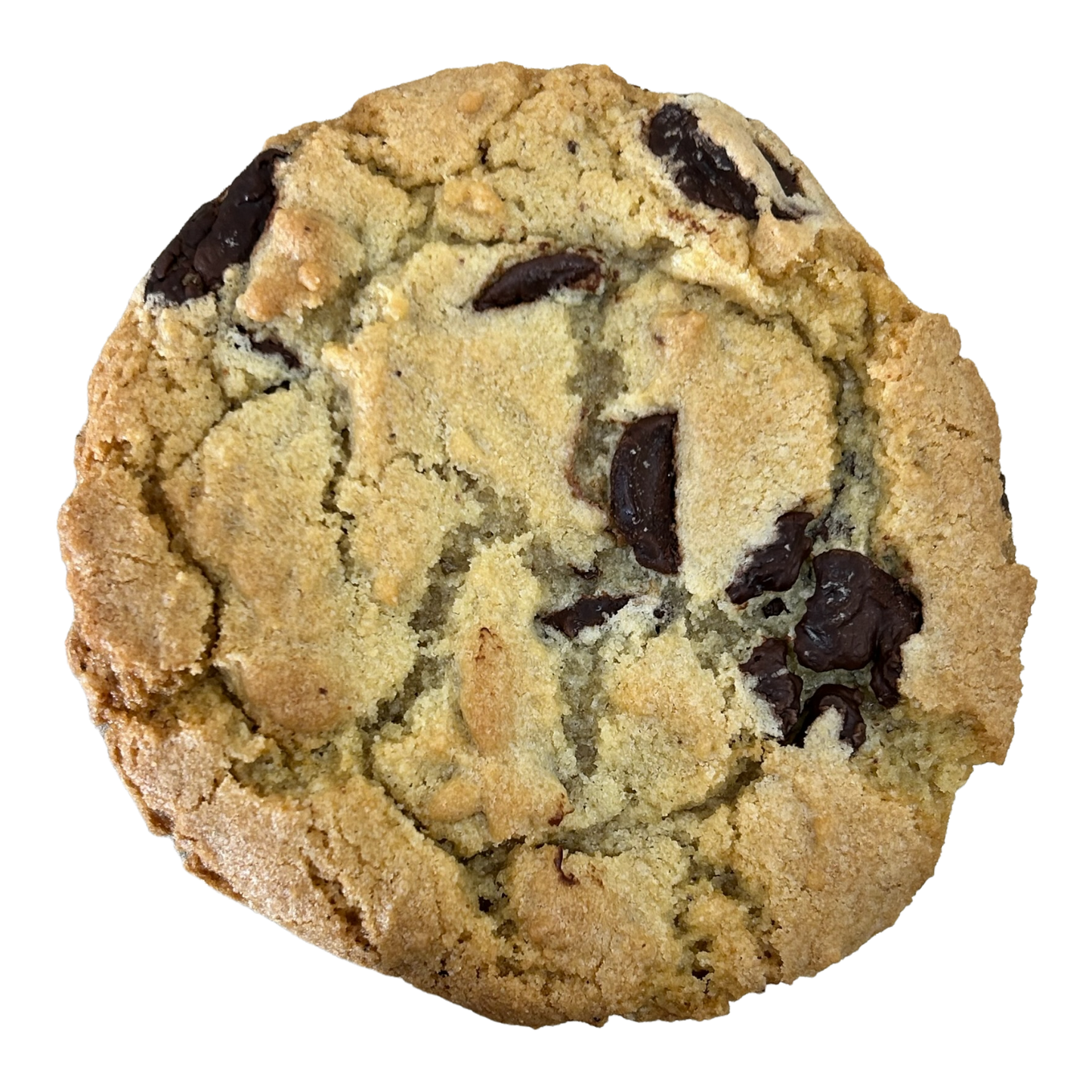 Hazel's Chocolate Chip