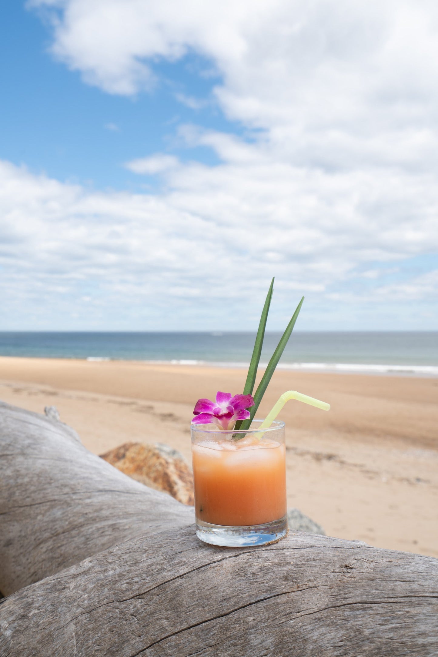 Lei'd Back Fresh Cocktail Mix