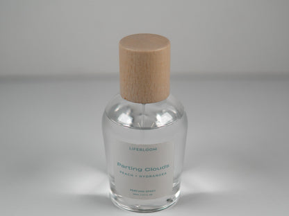 Parting Clouds Perfume Spray
